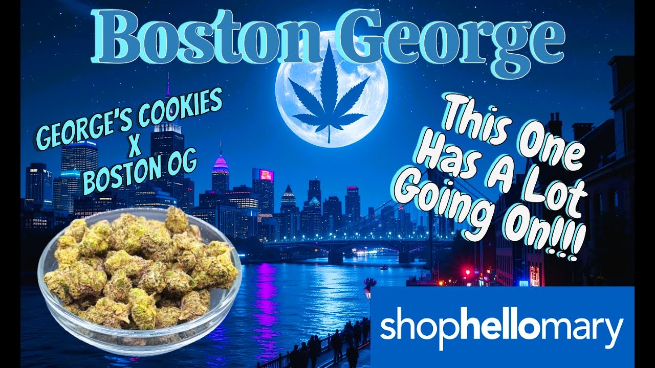 Trying ShopHelloMary Boston George THCa Flower - Very Interesting Flavors!
