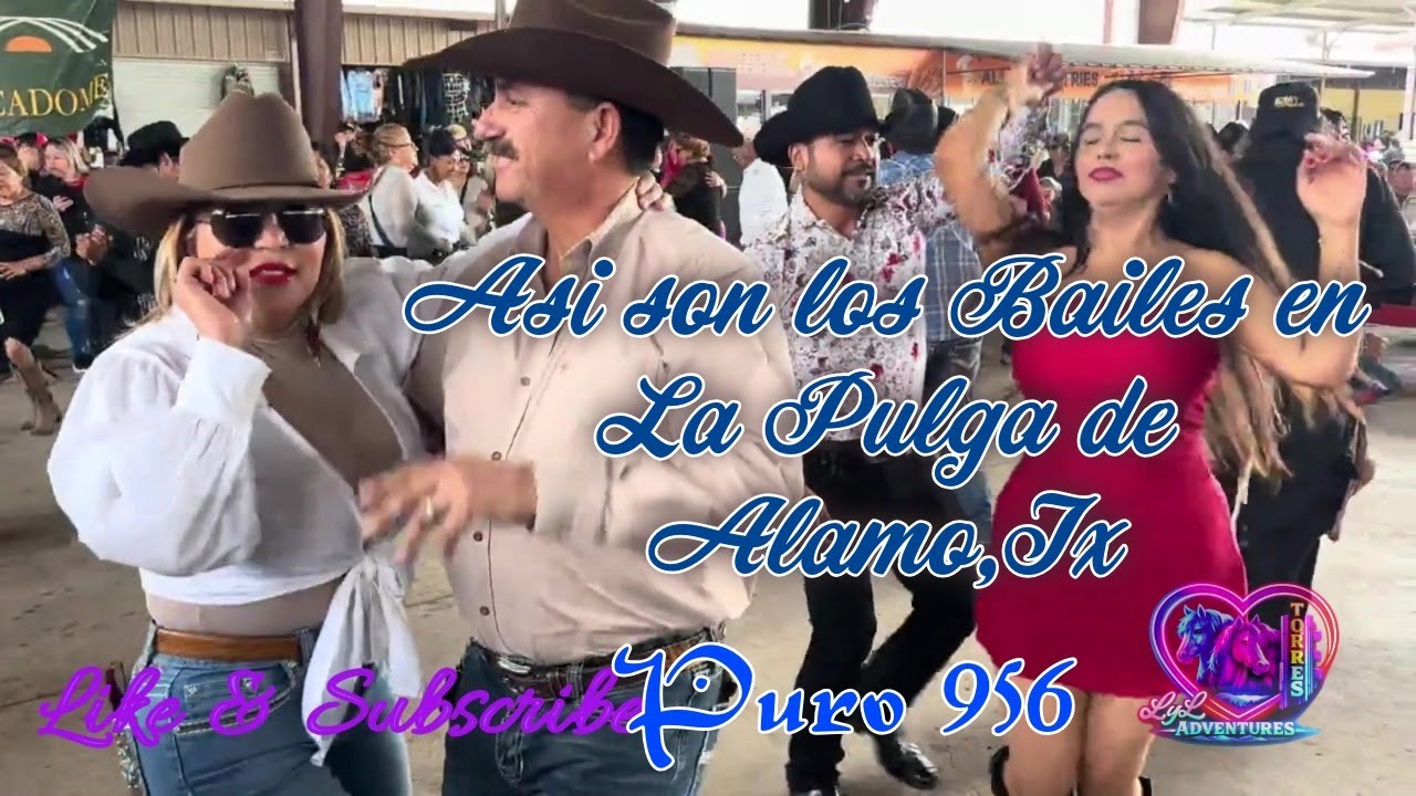 Los Bailes mas Virales de La Pulga DE Alamo Texas