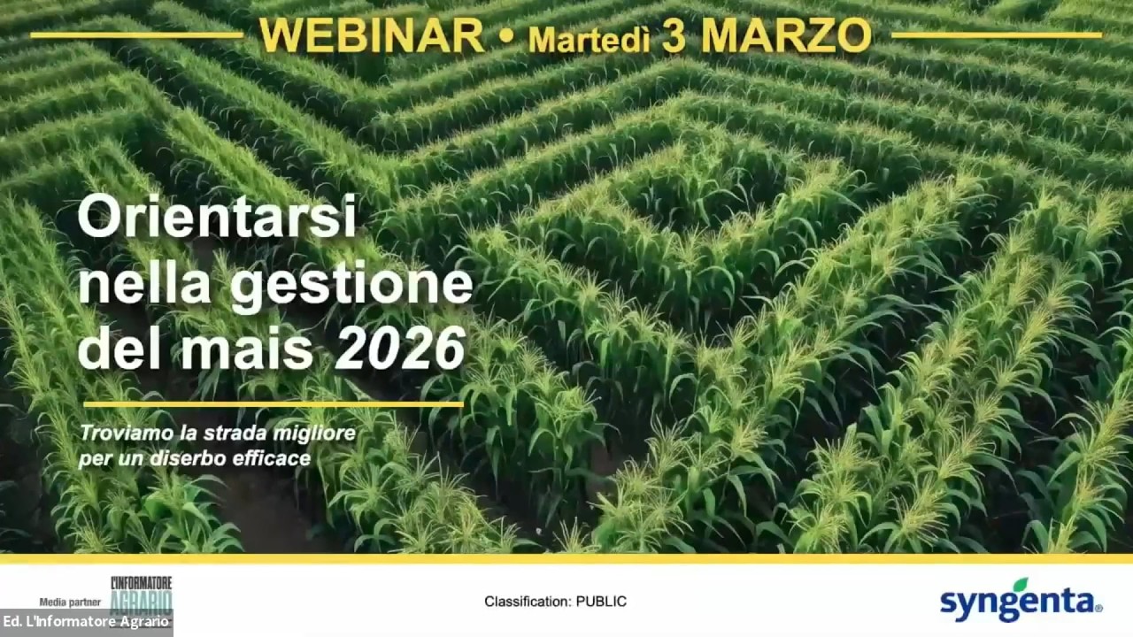 Orientarsi nella gestione del mais 2026 – Troviamo la strada migliore per un diserbo efficace