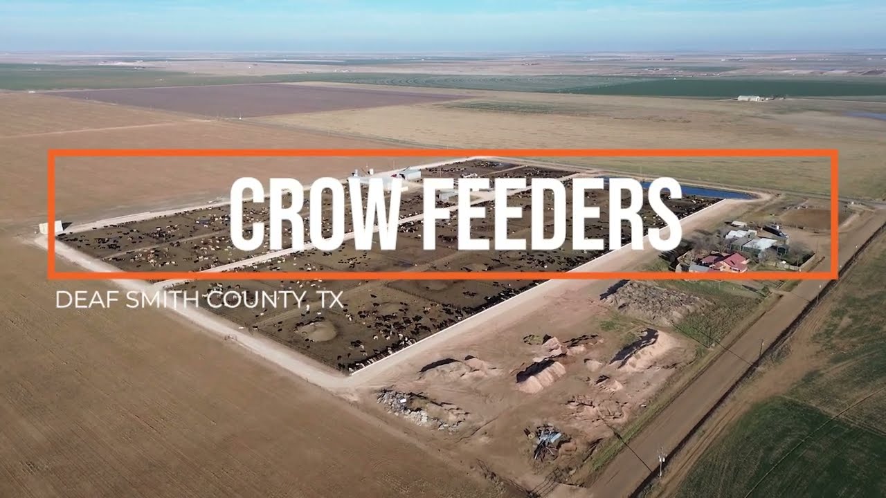 Crow Cattle Growyard | Hereford Real Estate