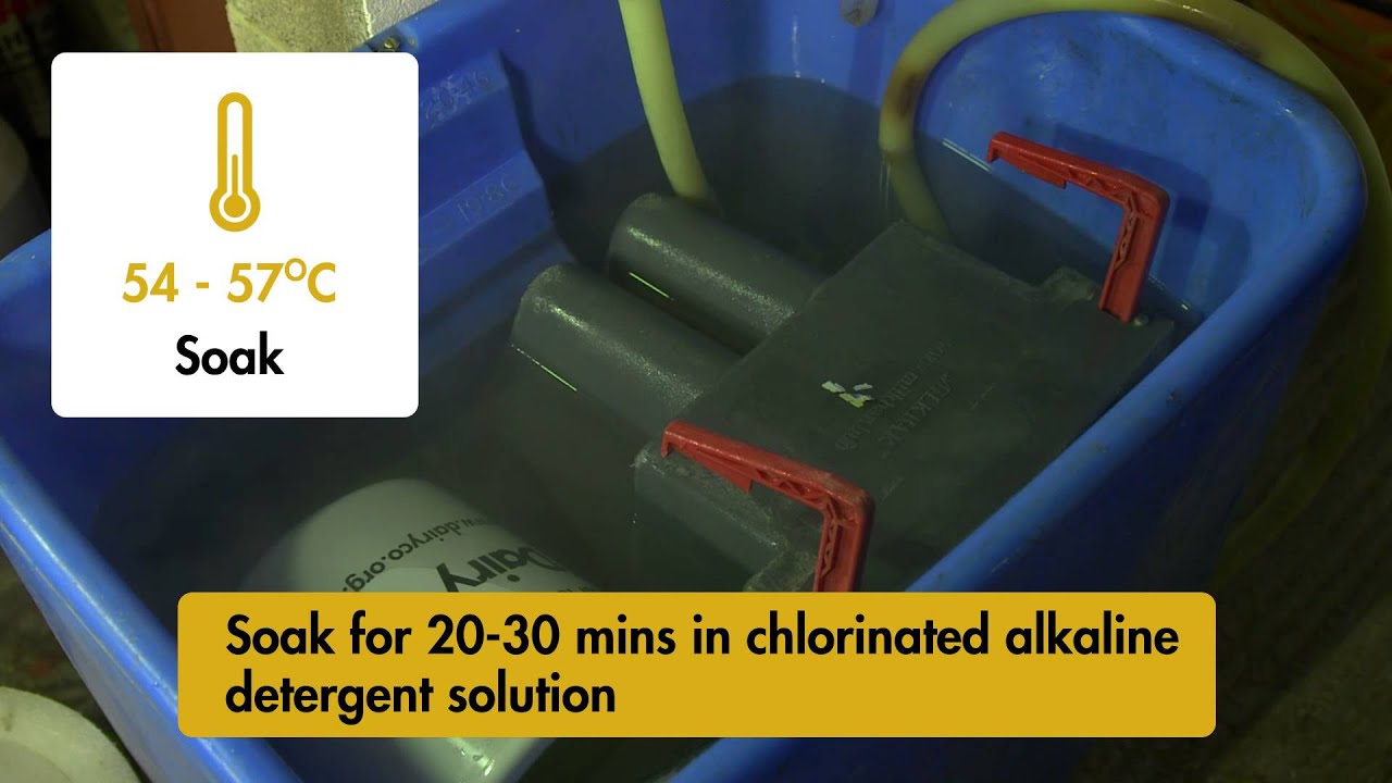 Colostrum hygiene - brought to you by AHDB Dairy