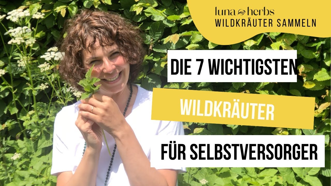 7 Wildkräuter für Selbstversorger