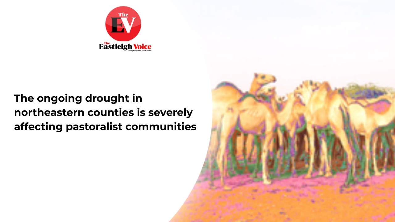 The ongoing drought in northeastern counties is severely affecting pastoralist communities.