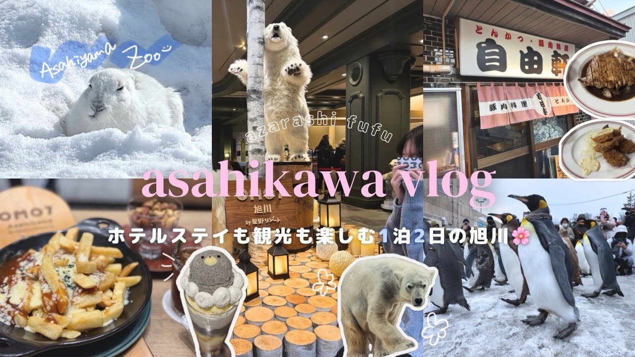 【北海道旅行vlog】観光に最適！星野リゾートで過ごす旭川旅行｜"孤独のグルメ"で紹介された老舗洋食店🍽️｜迫力満点の旭山動物園を大満喫🐧｜omo7で楽しむサウナプラトー🧖‍♀️🧖