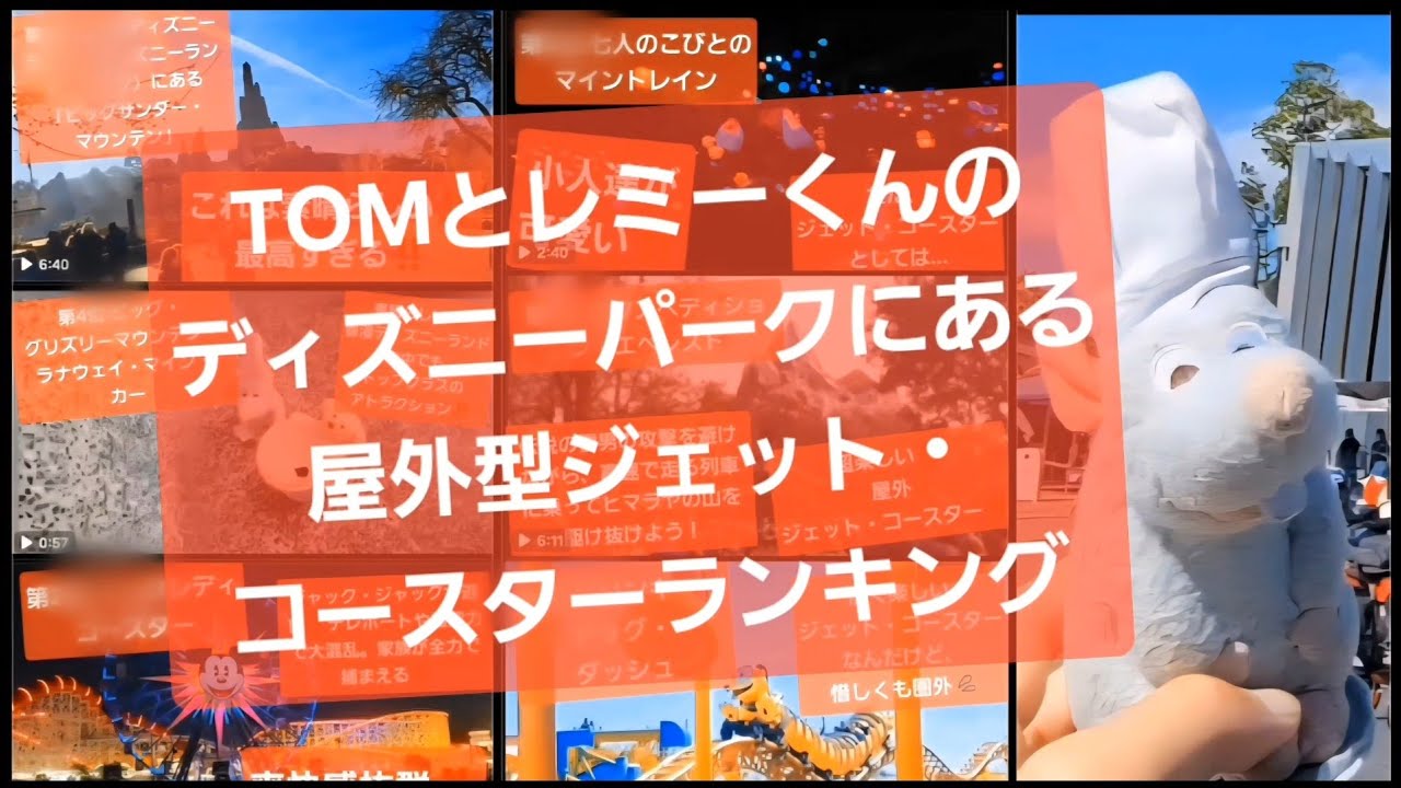 【本気】TOM＆レミーくんがガチで選ぶ‼️ディズニーパークにある屋外ジェットコースター最強ランキングTOP5‼️