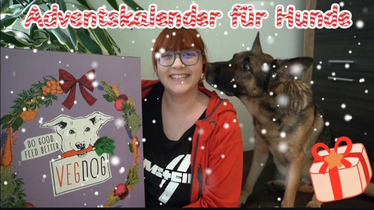 Veggi Adventskalender für Hunde // VEGDOG