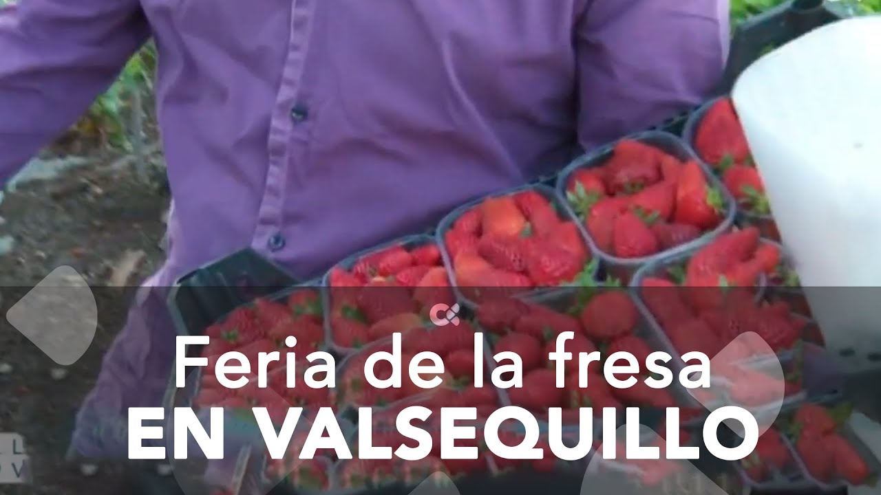 'Feria de la fresa'  en Valsequillo