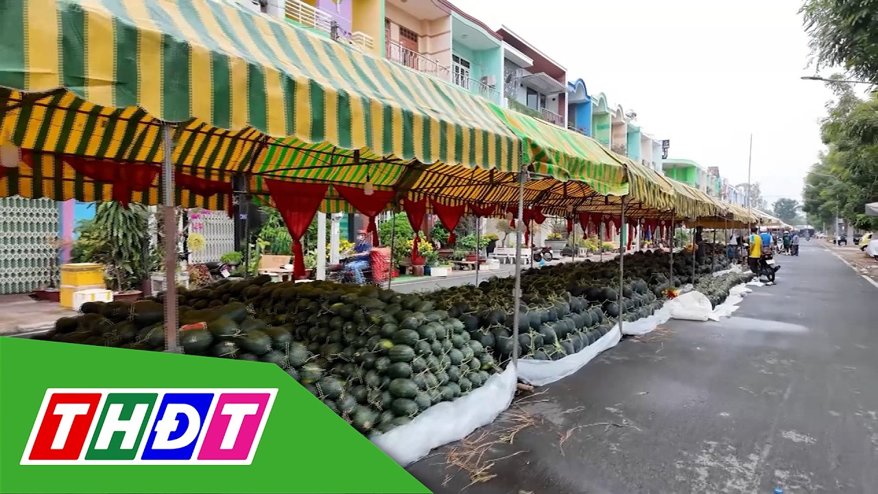Dưa hấu lên chợ đón Tết | THDT