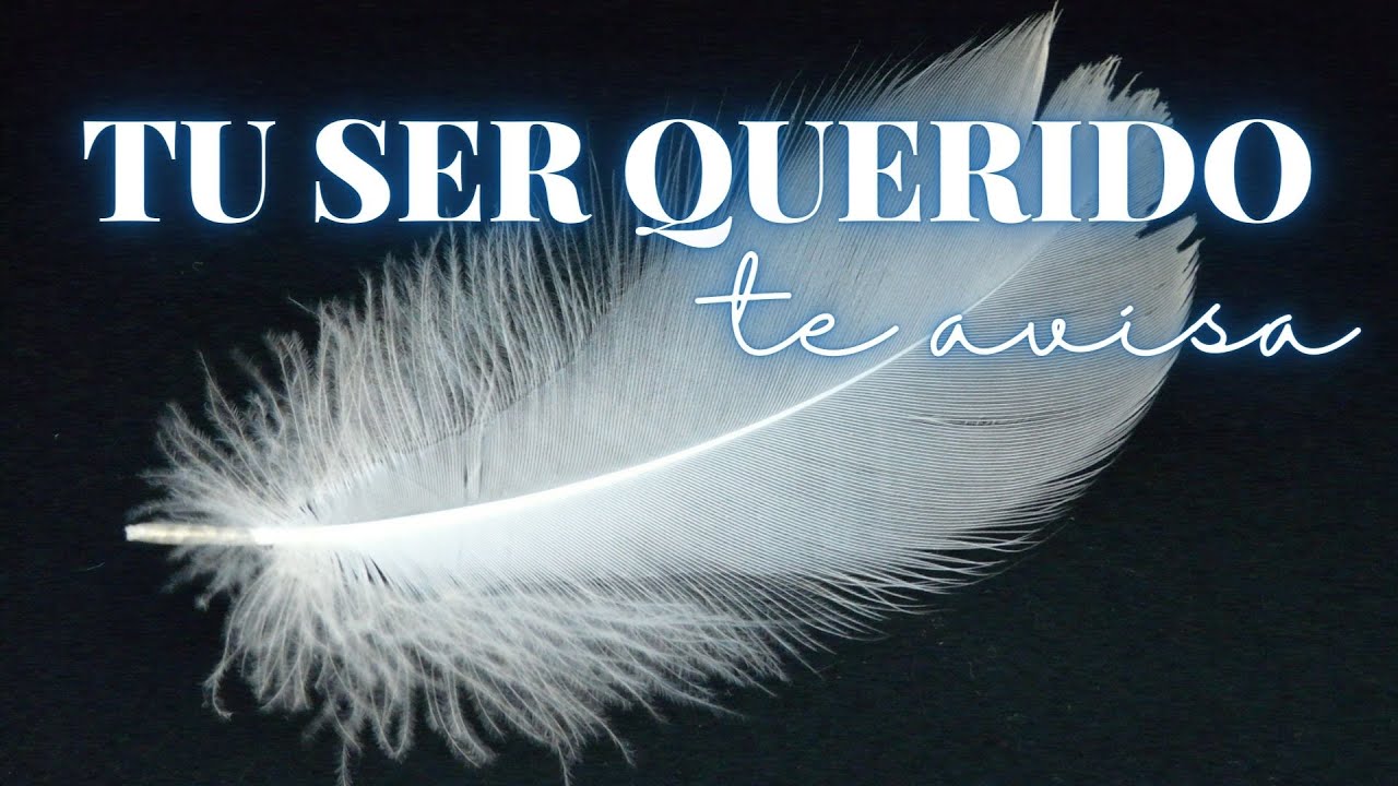 TU SER QUERIDO TE AVISA DE ESTO💌