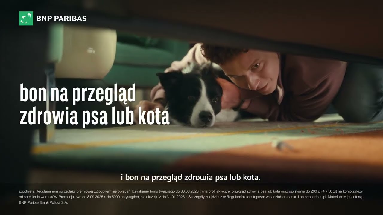 Karta Pupil – zniżki z myślą o Twoim czworonogu