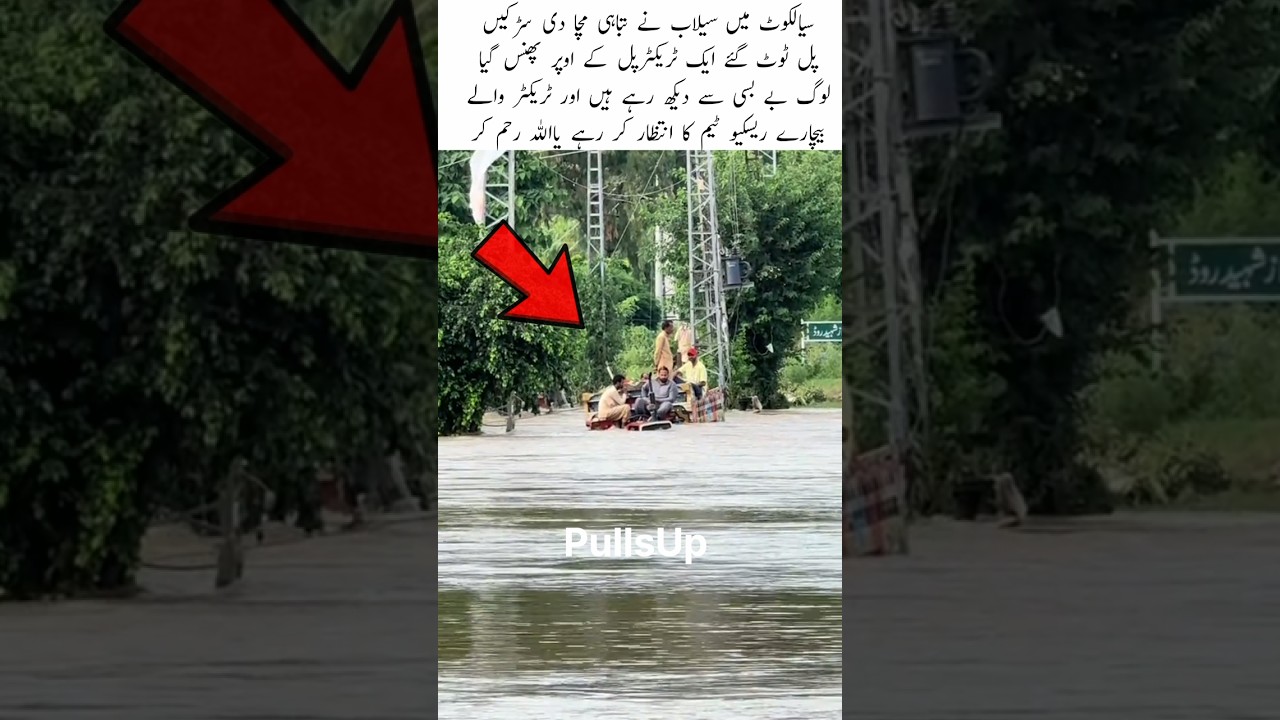High level of flooding at Sialkot #shorts #flood #sialkot #news #breakingnews #sad #punjab #foryou