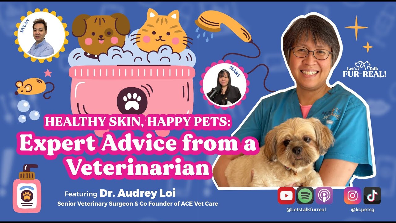 Healthy Skin, Happy Pet: Expert Advice from a Veterinarian Feat Dr Audrey Loi