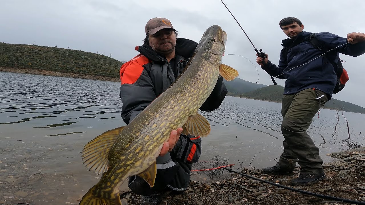 Pesca aos Lucios de margem e de kayak (4K ULTRA HD)