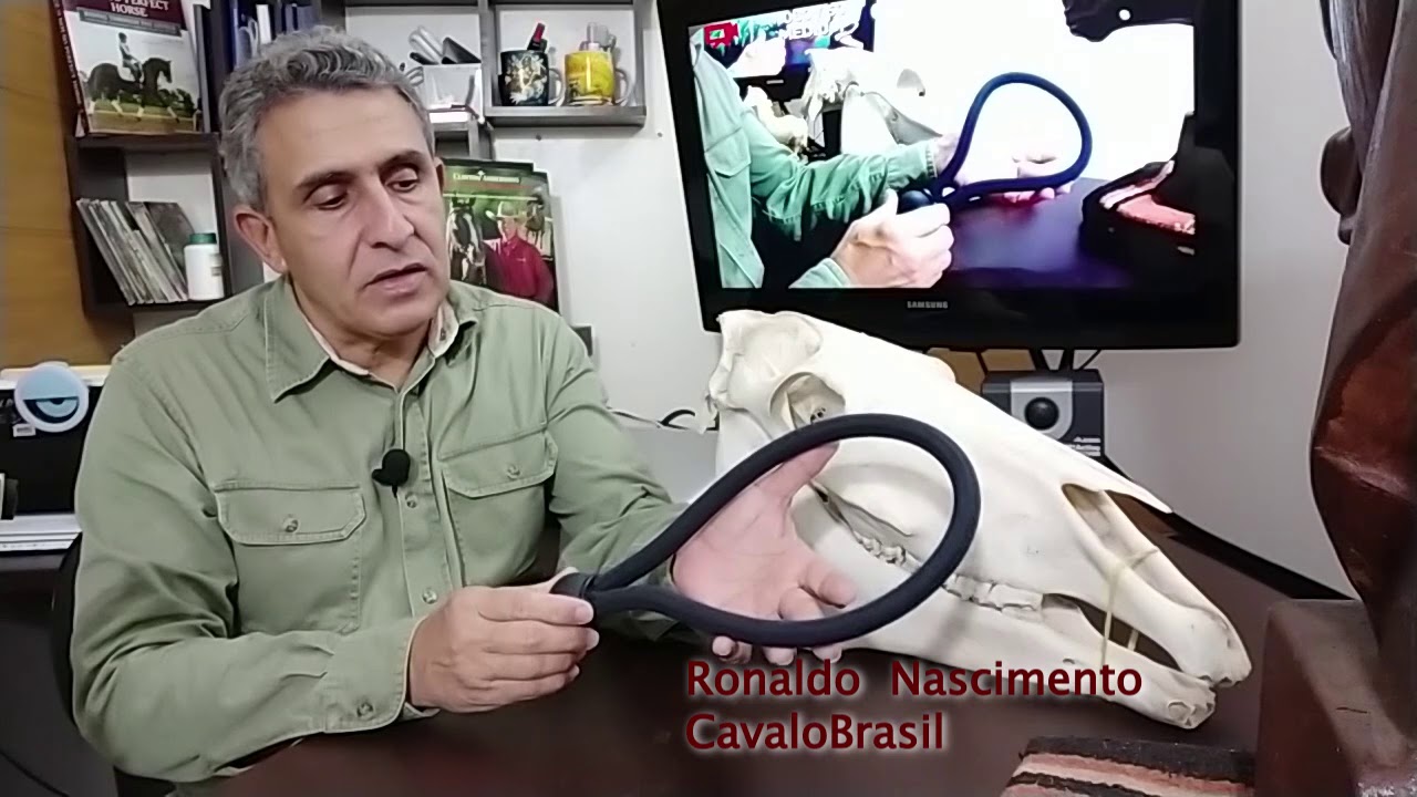 Entenda como &eacute; o Hackamore