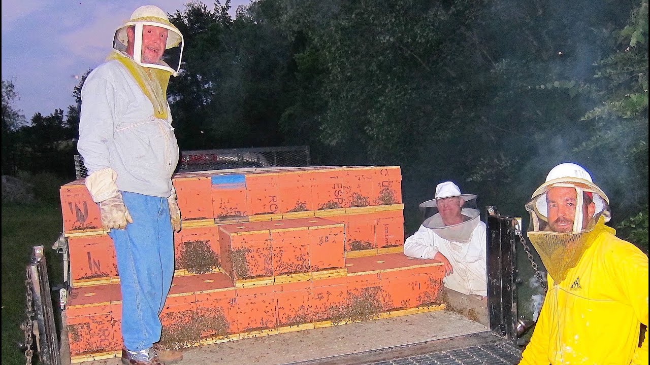 Georgia Beekeeper Terry Harris