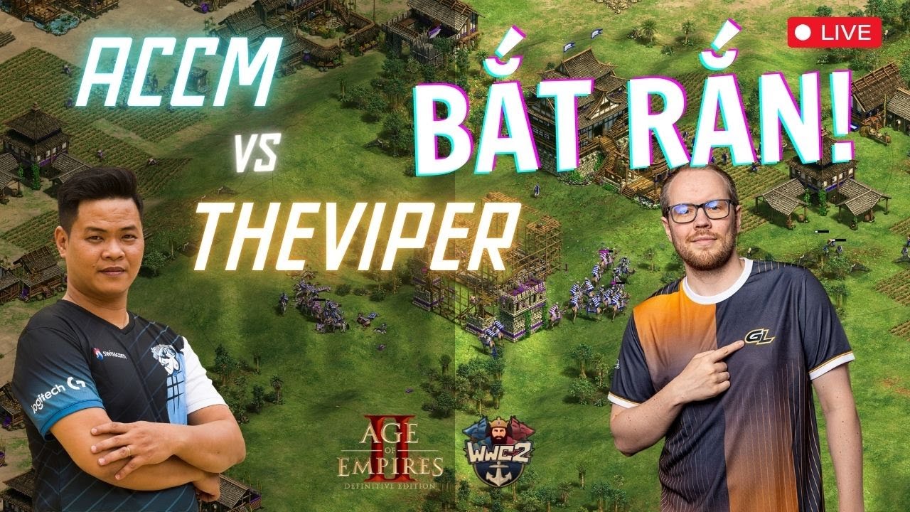 HAY BỊ RẮN CẮN? | ACCM vs TheViper | Giải AoE2 22,500 USD WWC2 do @T90Official tổ chức