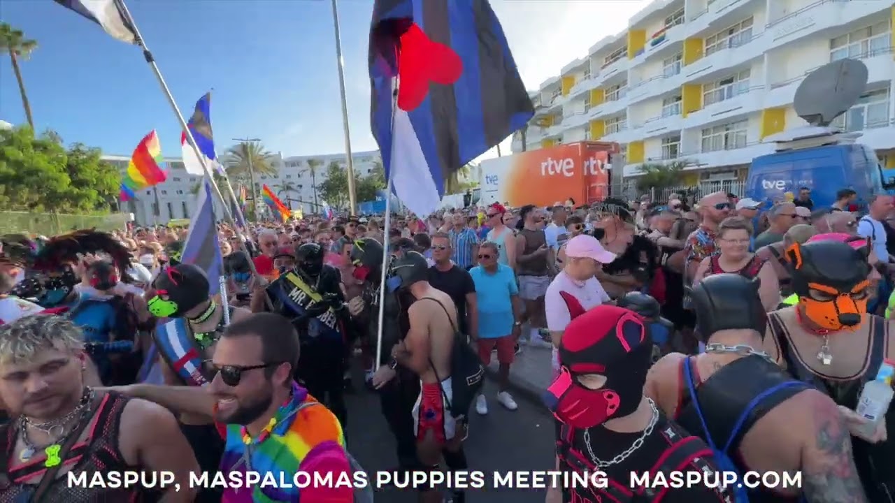 Maspup, Maspalomas puppies meeting