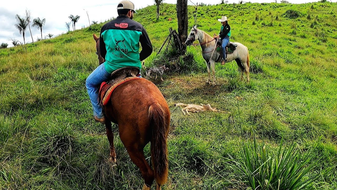 MONTEI NO CAVALO DOIDO E DEU RUIM