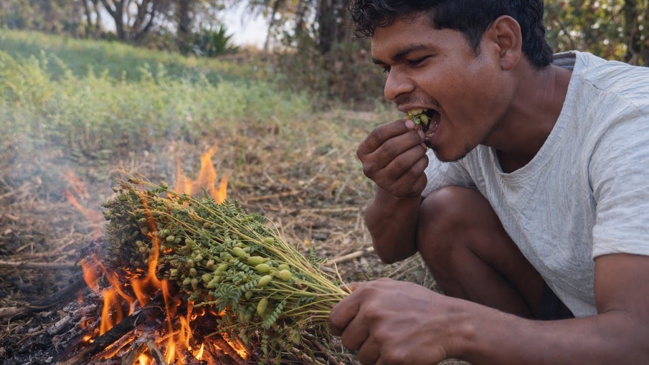 Bandar in Khet | Bandaron ko Chane Khane se Roka | Desi Village Farming
