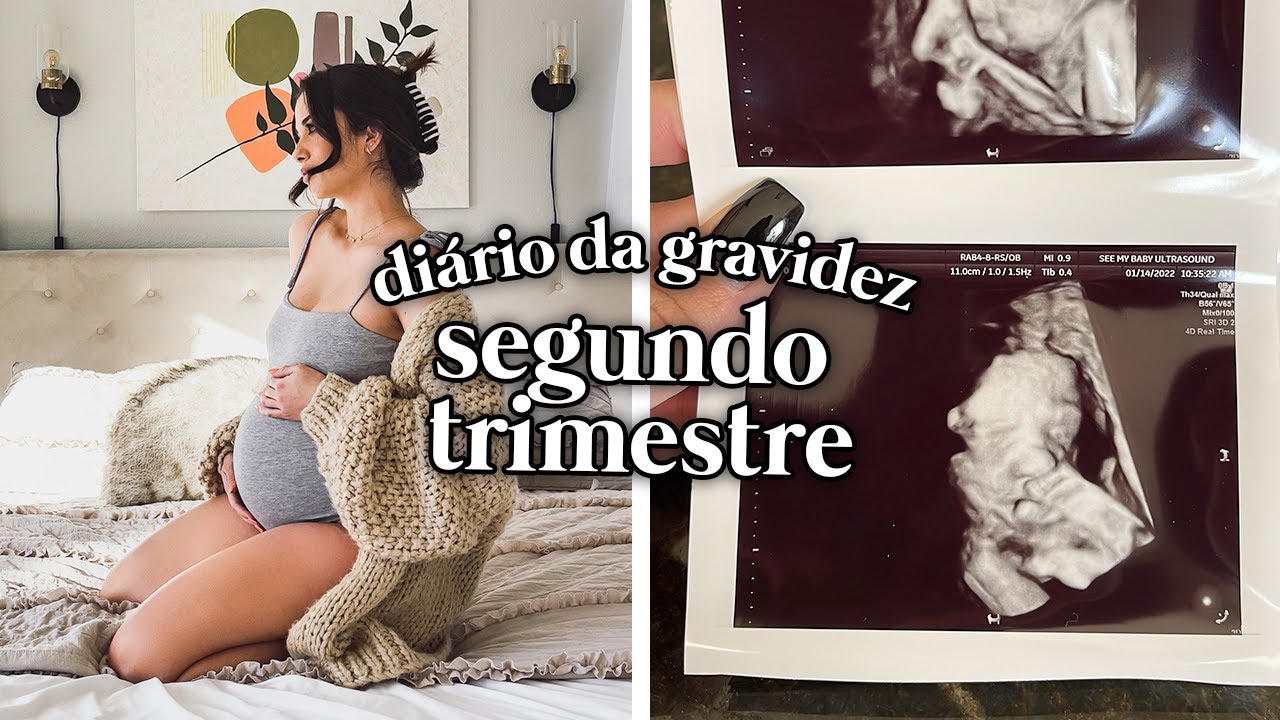DI&Aacute;RIO DA GRAVIDEZ: Segundo Trimestre (Sintomas, Sustos, Expectativas)
