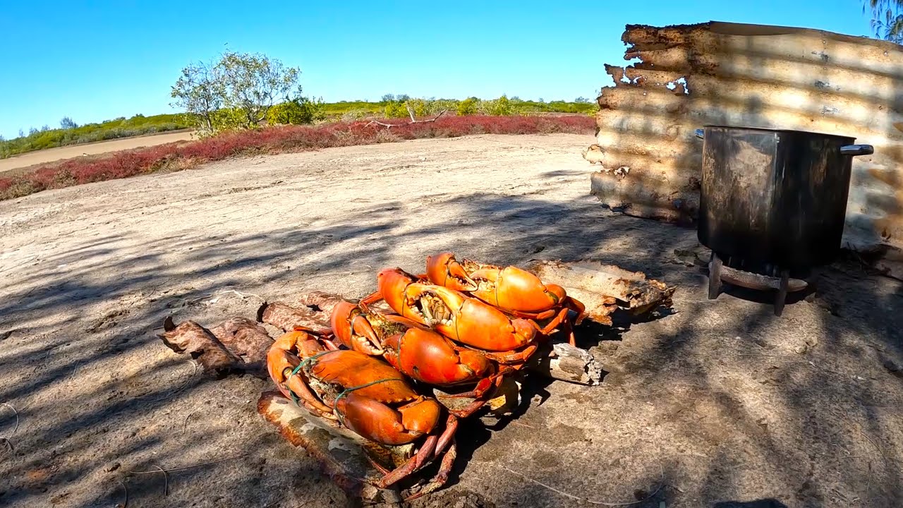 BIG MUD CRABS | Pull Pots -CRABBING | Cook Crabs!
