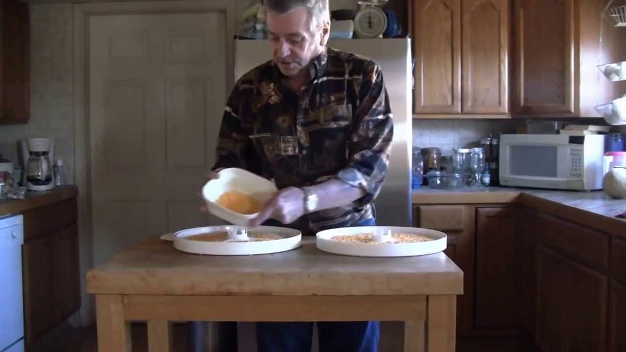 Dehydrating Cheese