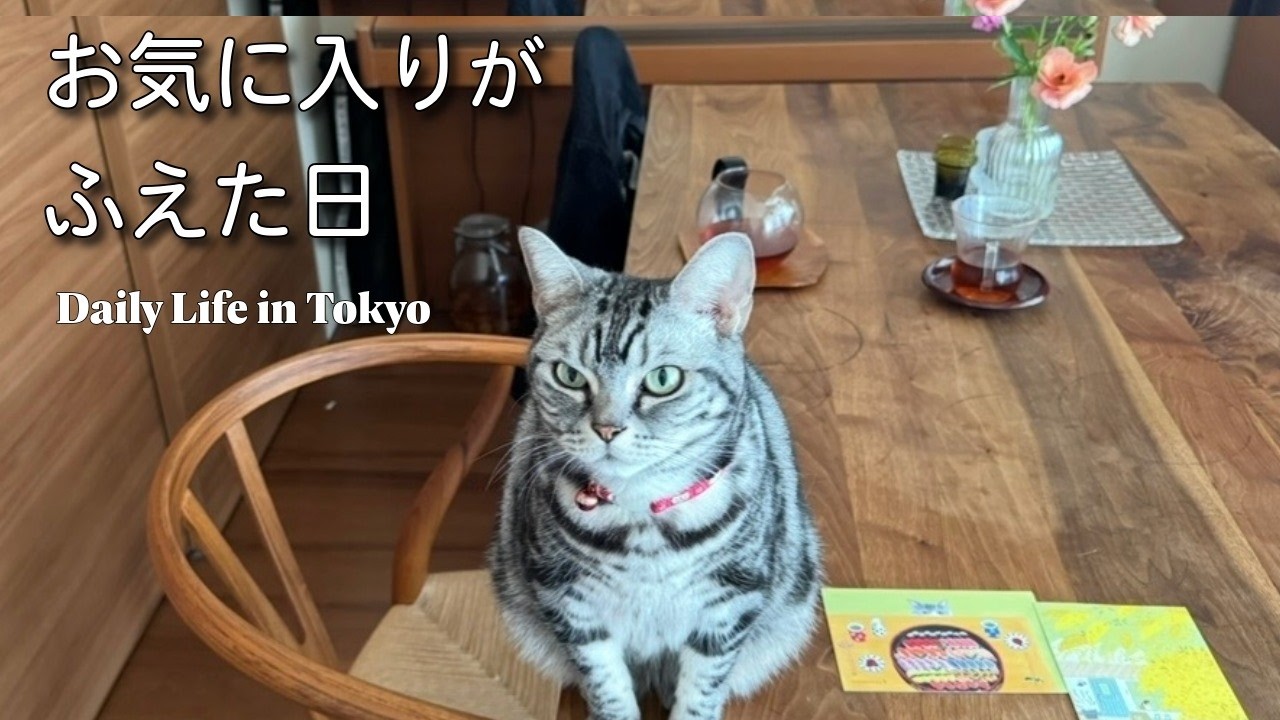 (能登の牡蠣】と博多の絶品いちご大福.帰省の手土産と旬を味わう東京暮らしvlog」