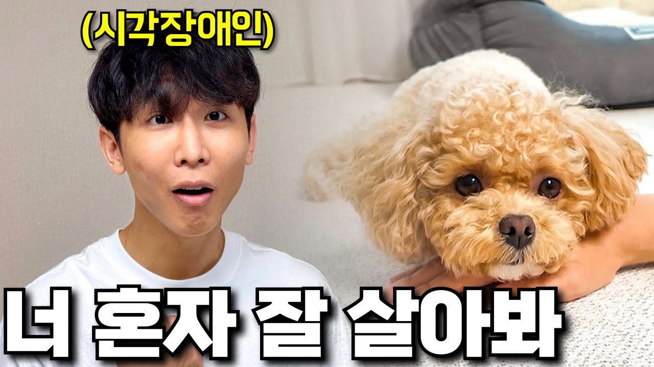 집 나가라고 해서 나갔습니다.. 천재견 토리의 나 혼자 산다 