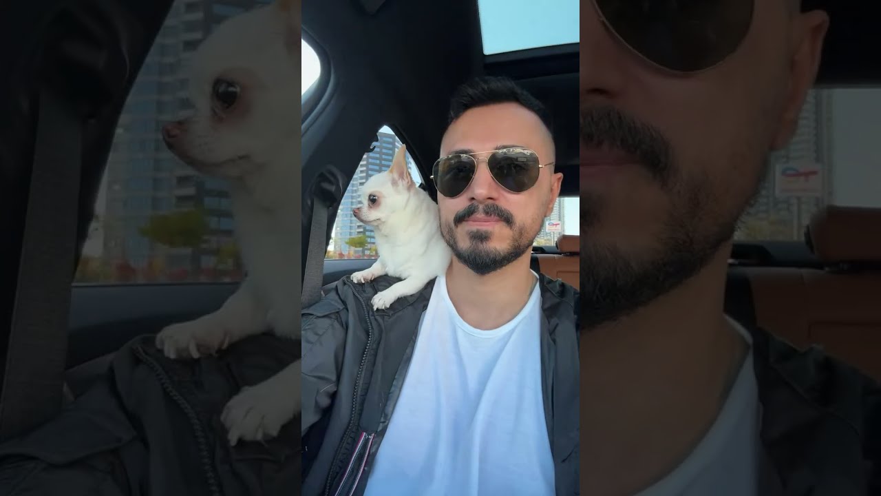 murat noyan kanalı canlı yayında
