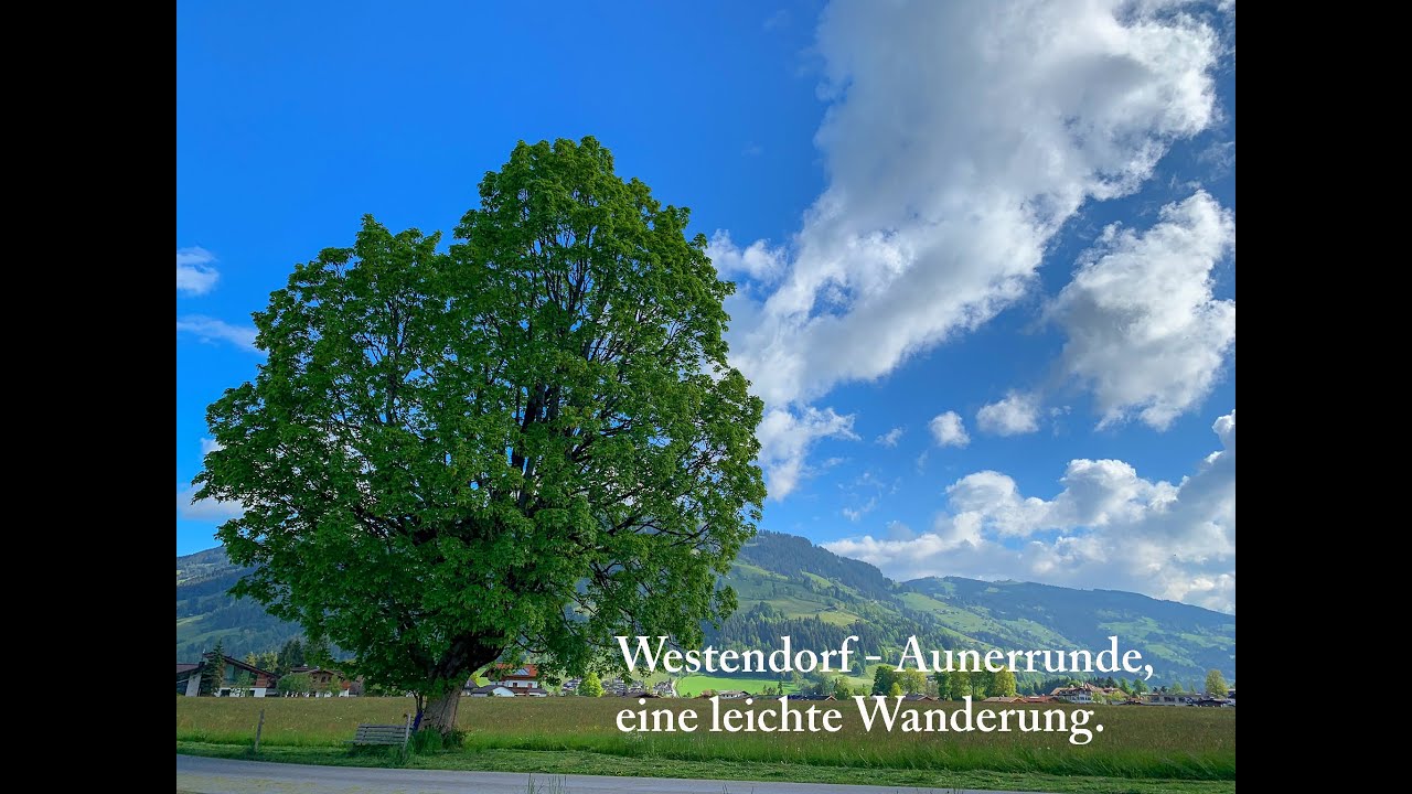 Aunerrunde, eine leichte Wanderung in Westendorf.