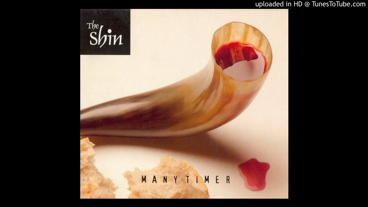 The Shin - Meeting