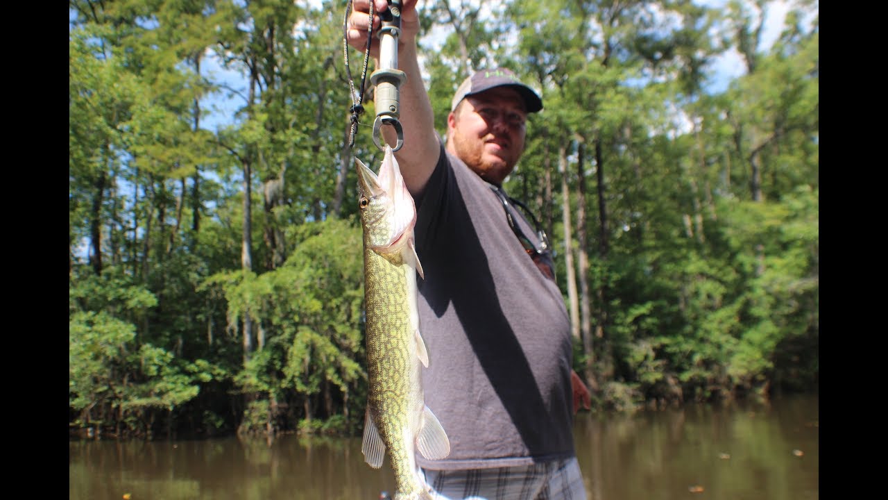 Fishing The Tar River FT. anthony horton fishing