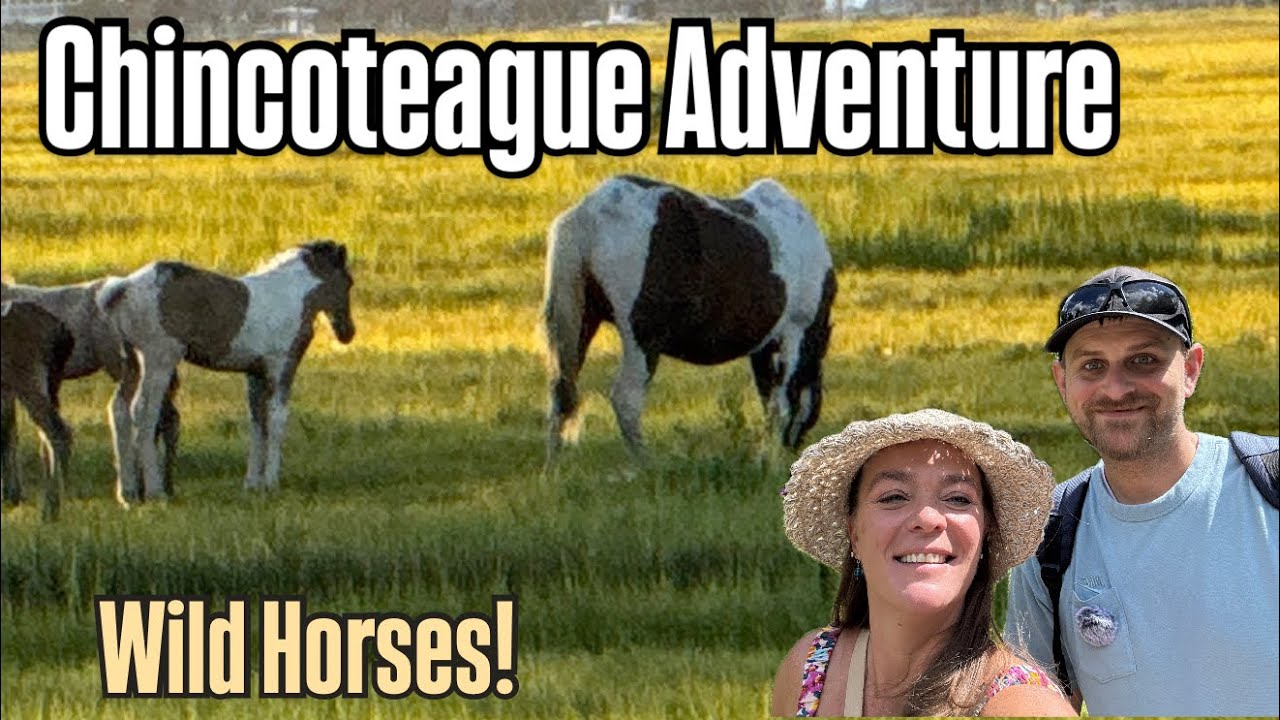Chincoteague Island Was Even Better Than We Expected | Wild Ponies, Boats & Coastal Views