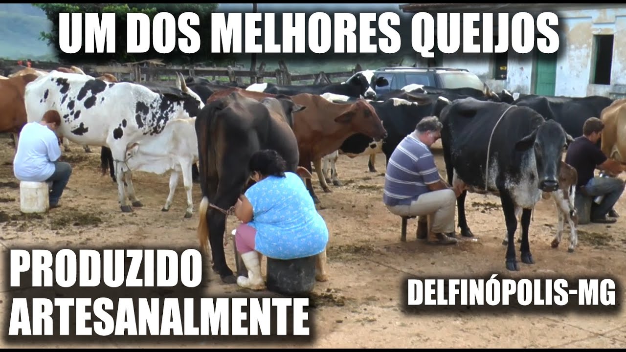 RENDA DA FAMILIA VEM DO LEITE TIRADO À MÃO