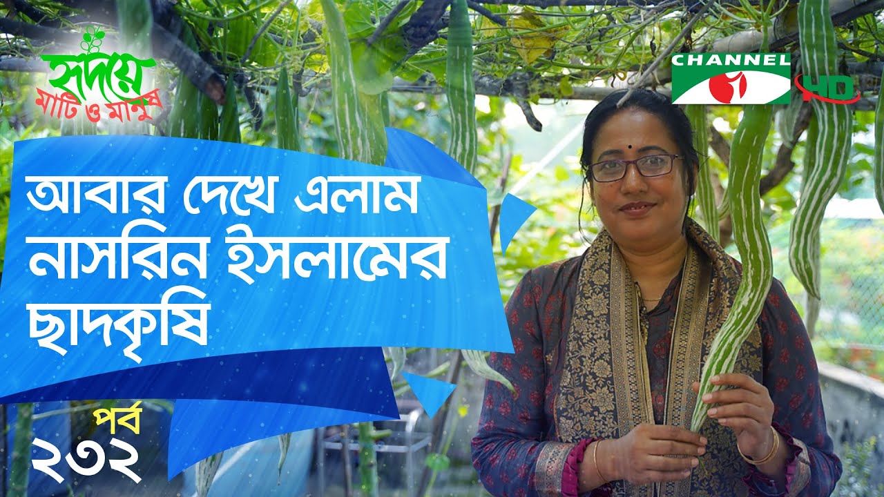 আবার দেখে এলাম নাসরিন ইসলামের ছাদকৃষি | পর্ব ২৩২ | Shykh Seraj | Channel i |