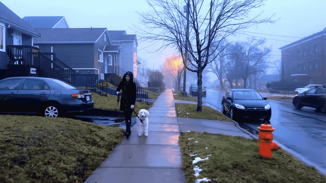 Unforgettable Walk in Halifax: Fog, Rain, and Serene Sounds