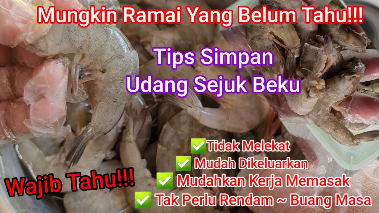 Wajib Tahu... Tips Simpan Udang Sejuk Beku | Tidak Melekat (Berketul)| Sangat Mudah Bila Nak Masak