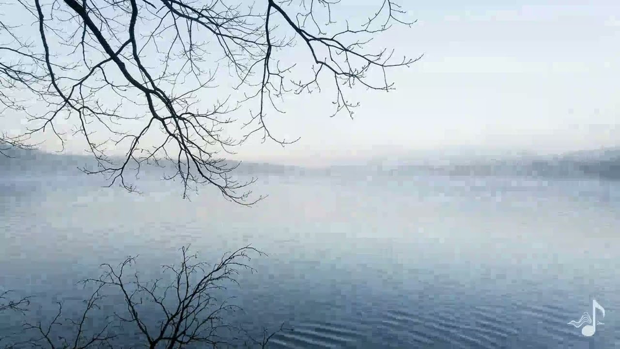 Misty Reflections ✨ Gentle Acoustic Strings to Quiet Your Mind & Find Inner Peace 🌊🌿