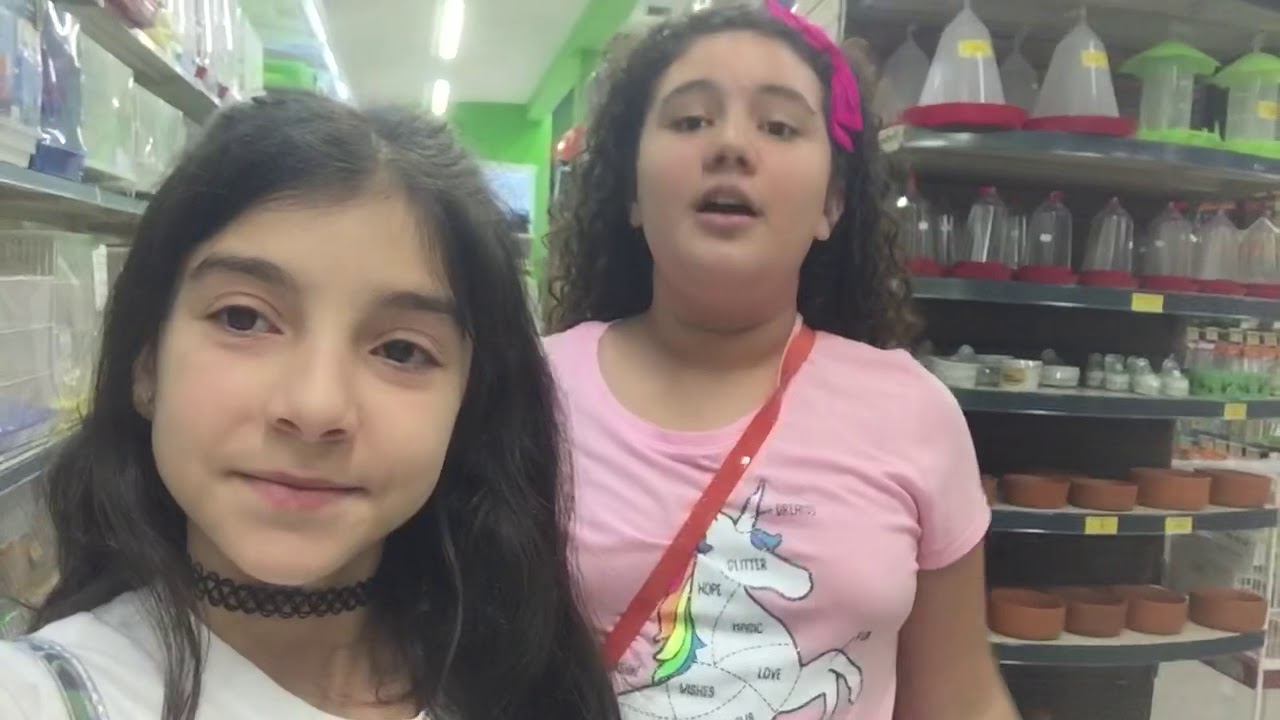 Comprando meu Hamster 🐹