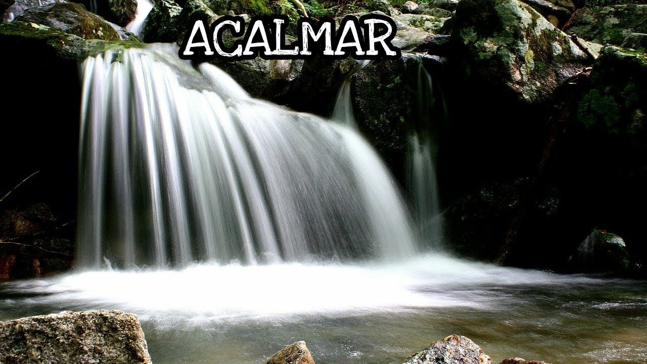 RELAXAR-SOM DE CHUVA E FLORESTA-SEM FUNDO MUSICAL PARA DORMIR E RELAXAR SONS DA NATUREZA RELAXANTE