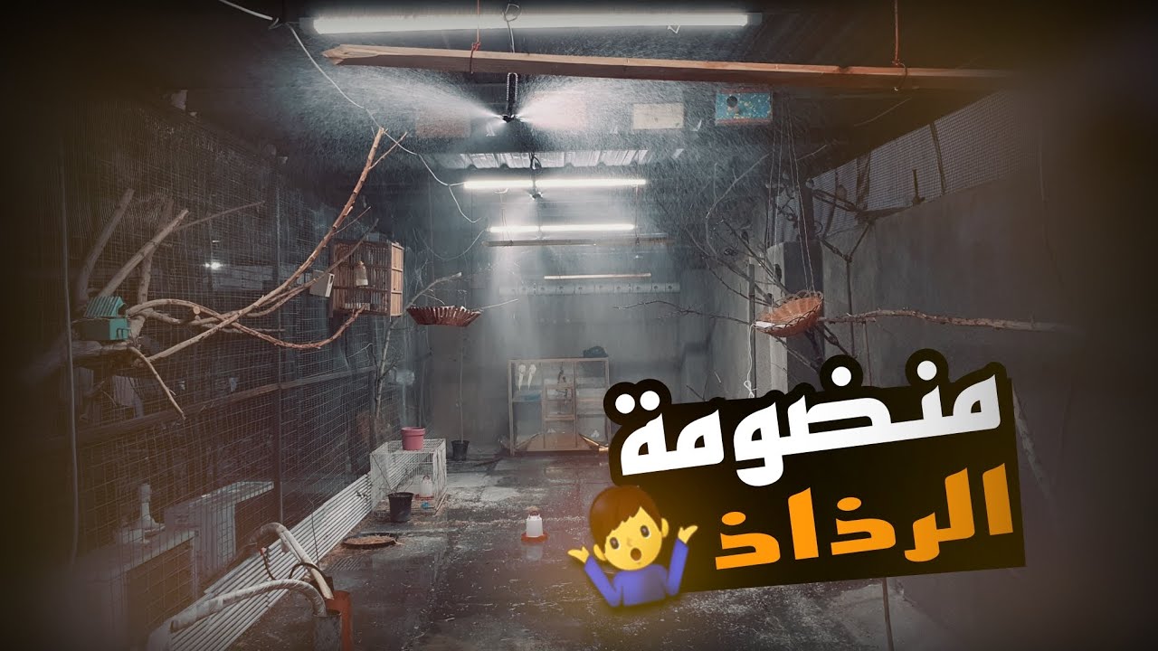 #ترتيب المحمية#1 اجه الصيف ومحتار شنو تسوي حتى تحافظ ع طيورك انسب حل وبأقل التكاليف (منضومة الرذاذ)