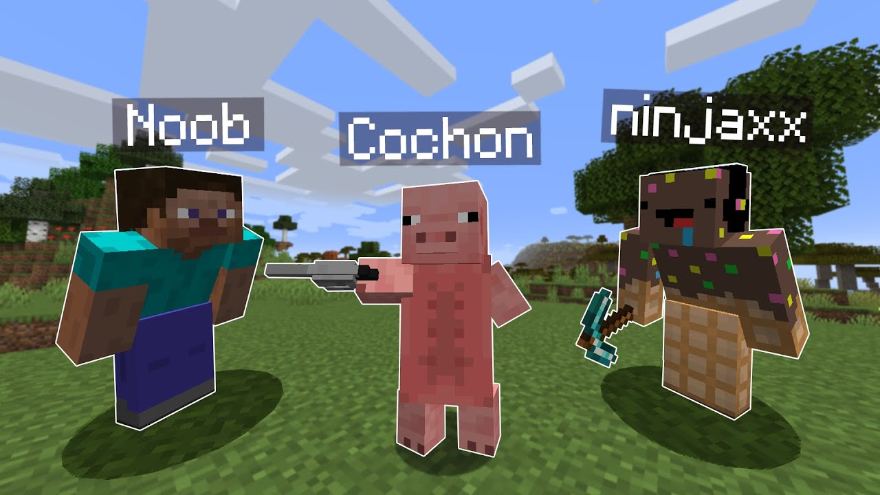 J'ai troll un noob avec des Mobs WTF sur Minecraft..