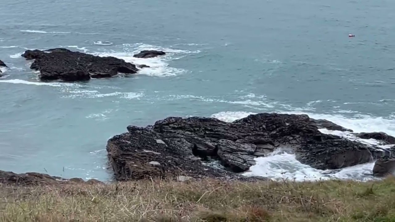Seals and a walk