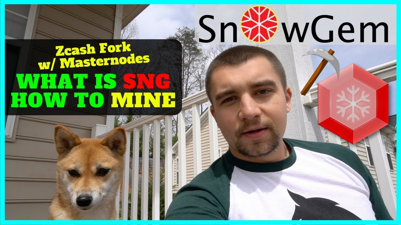 What is Snowgem SNG - a Zcash Fork w/ Masternodes + How To Mine SNG