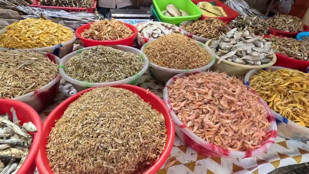 Digha elish mach onek kom dam. #digha #cooking #fishing #fish #tourism #tour