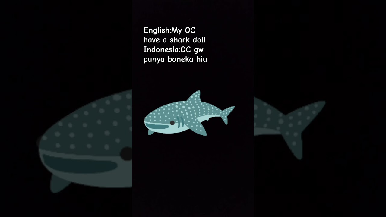 English:The shark is cute indo:hiu nya lucu