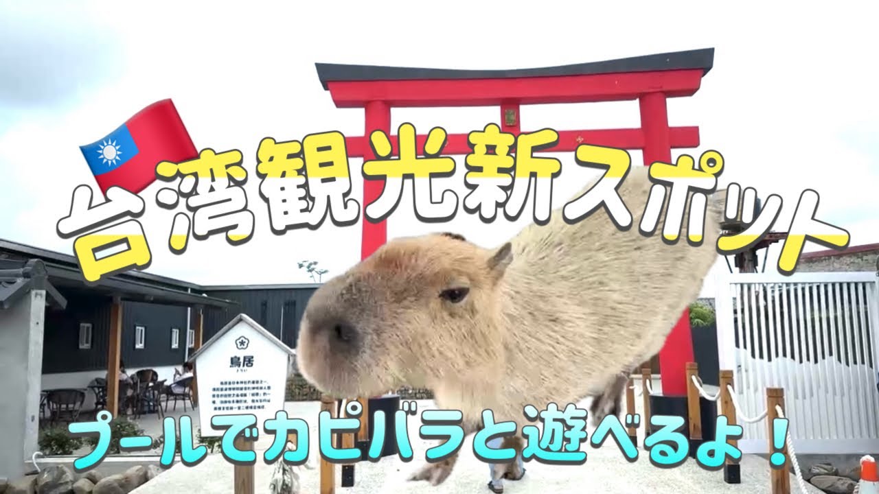 台湾🇹🇼墾丁鹿児島カピバラ生態公園PARADISE OF CAPYBARA