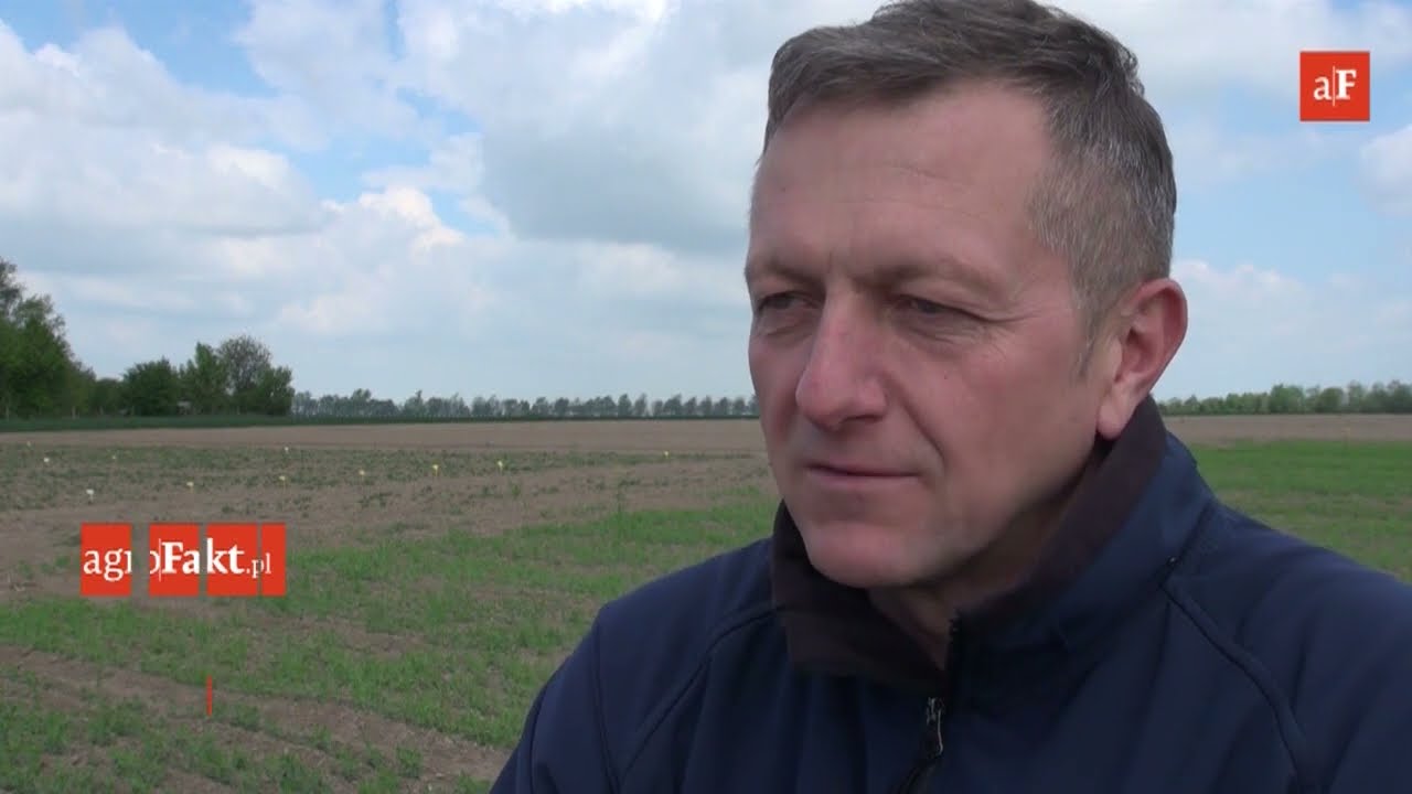 Czy siew soi jest opłacalny? &ndash; 16 maja 2019