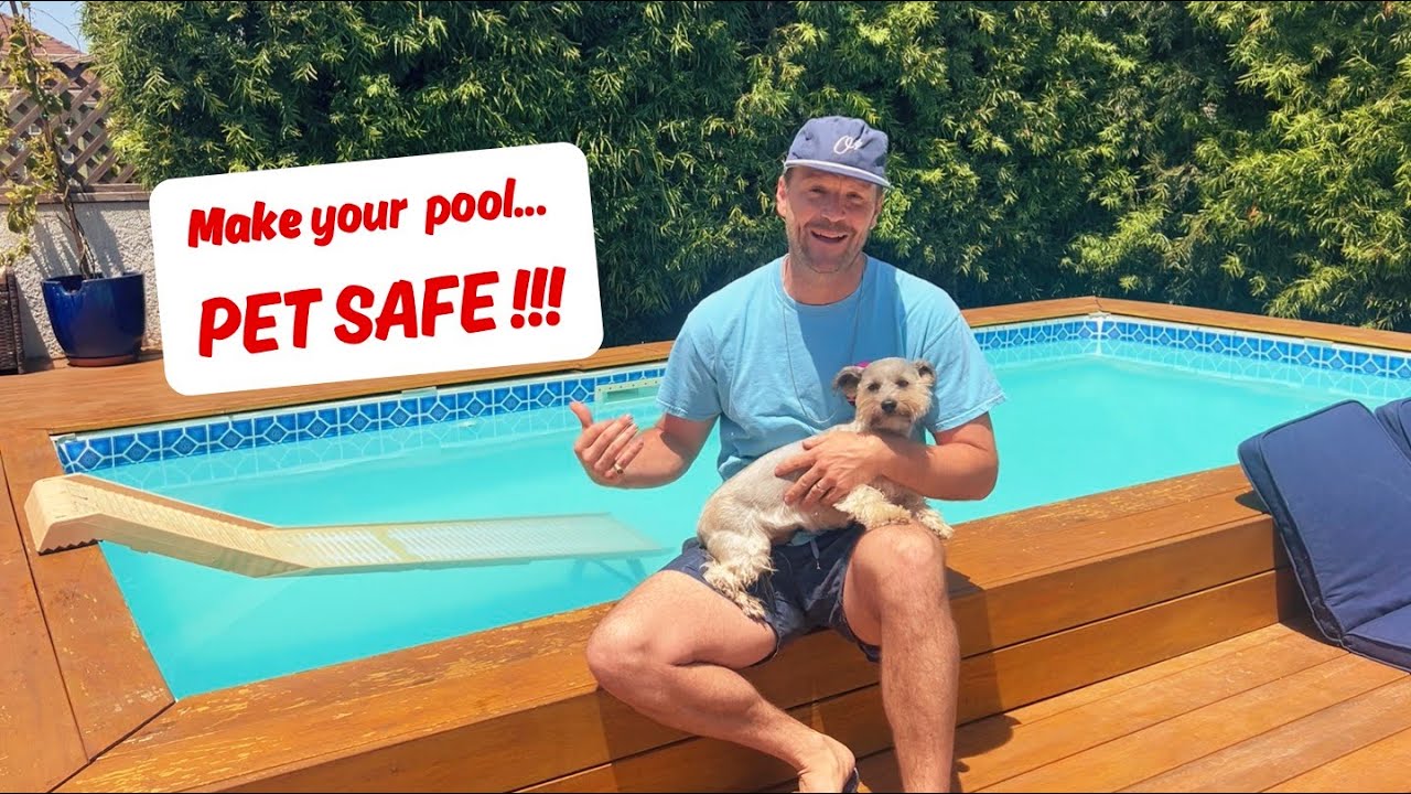 How to Make your Pool Pet Safe | Product Review:  PetStep Pool Ramp