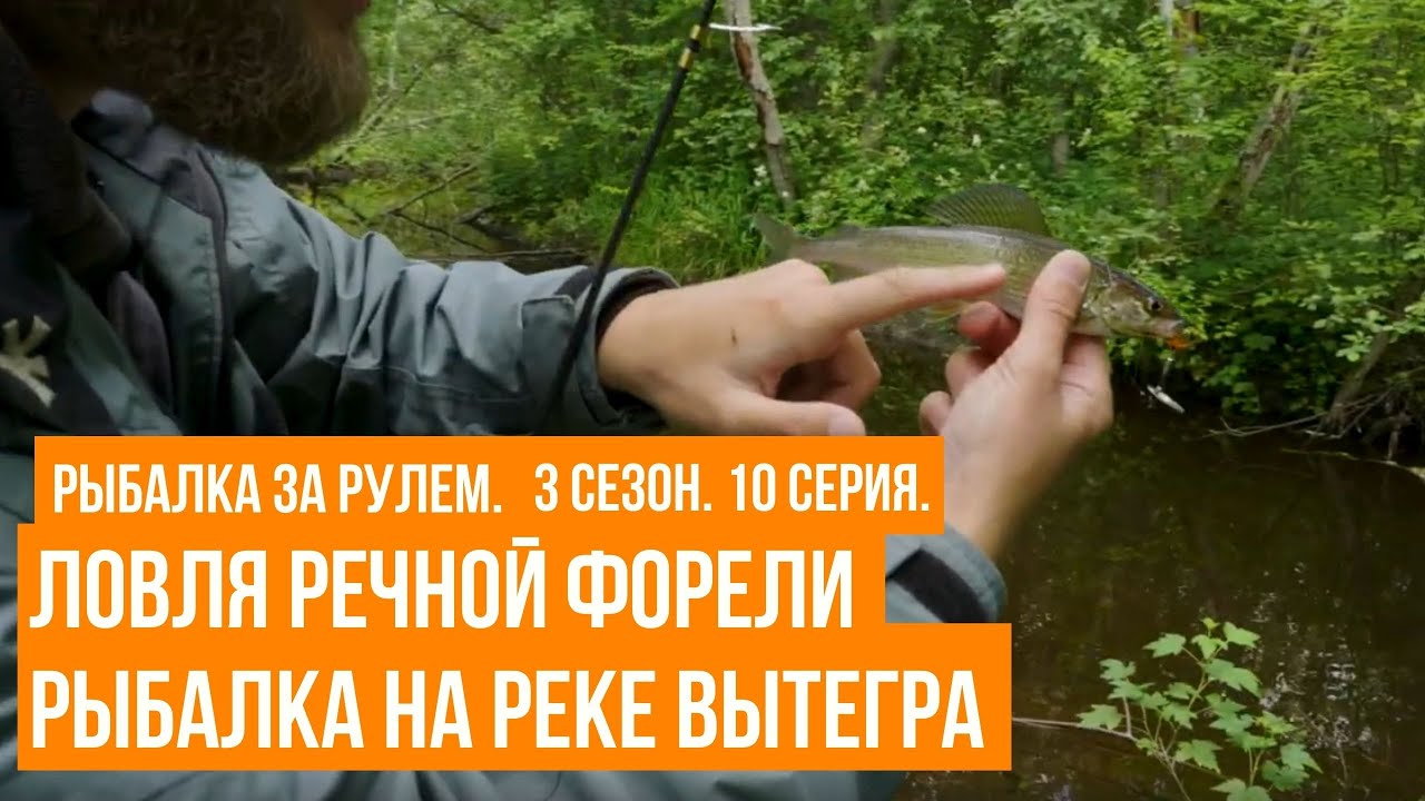 Ловля речной форели \ Рыбалка на реке Вытегра \ Рыбалка за рулем \ 3 сезон
